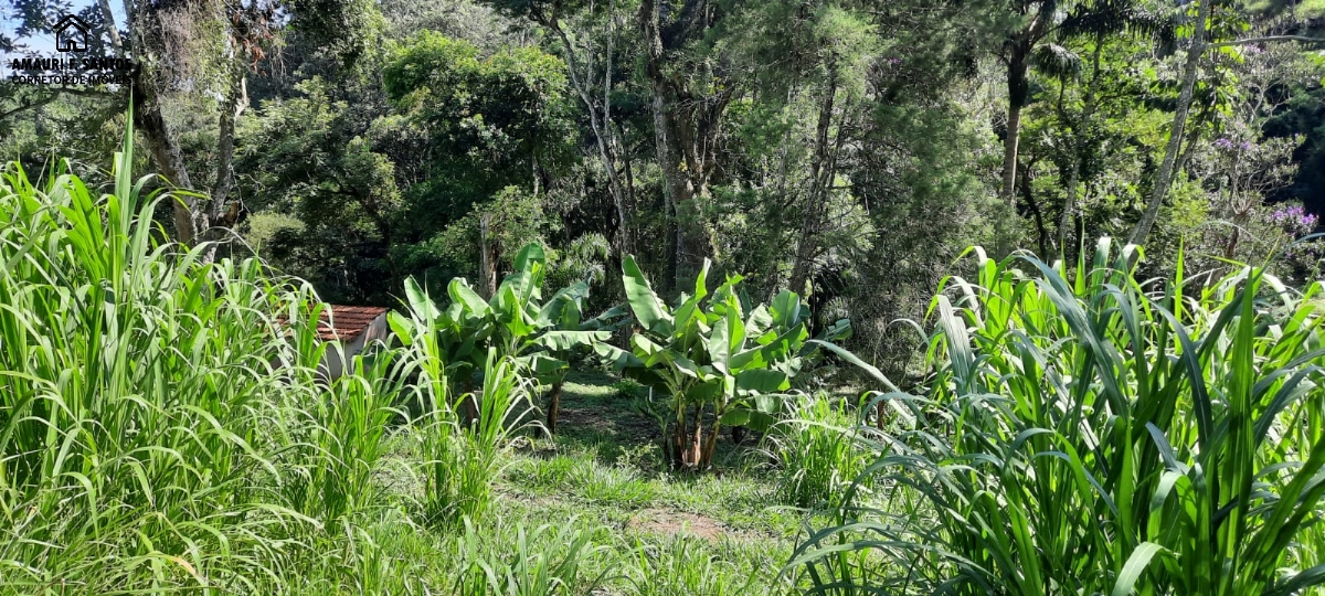 Sítio em , São Roque - Foto 21